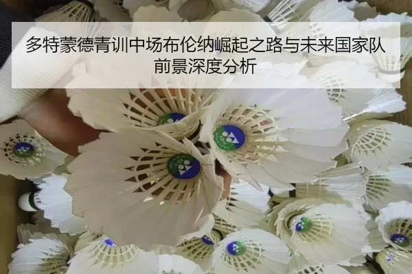 多特蒙德青训中场布伦纳崛起之路与未来国家队前景深度分析