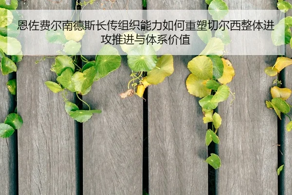 恩佐费尔南德斯长传组织能力如何重塑切尔西整体进攻推进与体系价值