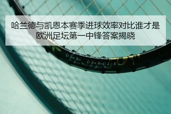哈兰德与凯恩本赛季进球效率对比谁才是欧洲足坛第一中锋答案揭晓