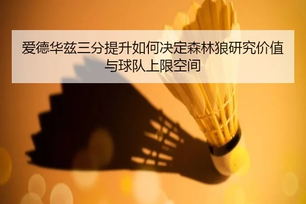 爱德华兹三分提升如何决定森林狼研究价值与球队上限空间
